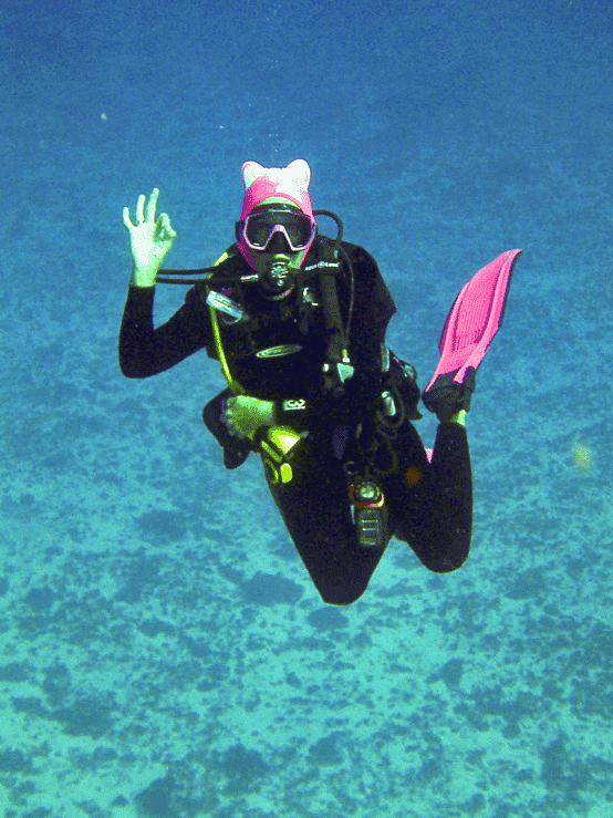 pussyhat dive girl